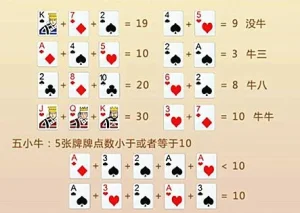 【最新】十三支玩法攻略|比牌技巧與排法,線上娛樂更精彩!